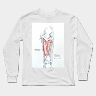 Anatomy. Leg mid depth muscles Long Sleeve T-Shirt
